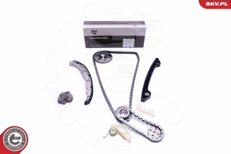 Timing Chain Kit